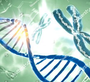 stock photo dna research molecule scientific breakthrough in human genetics d illustration analysis of 1140894401